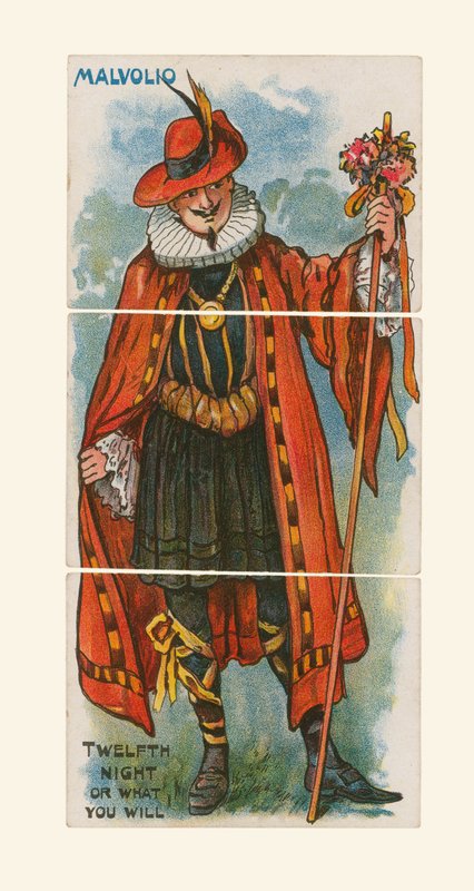 Malvolio，第十二夜 作者 英语学校