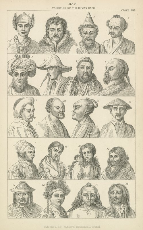 Man. Varieties of the human race (engraving) 作者 英语学校