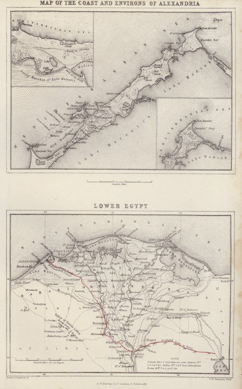 地图亚历山大海岸及周边地区地图；下埃及（彩色石印版） 作者 英语学校