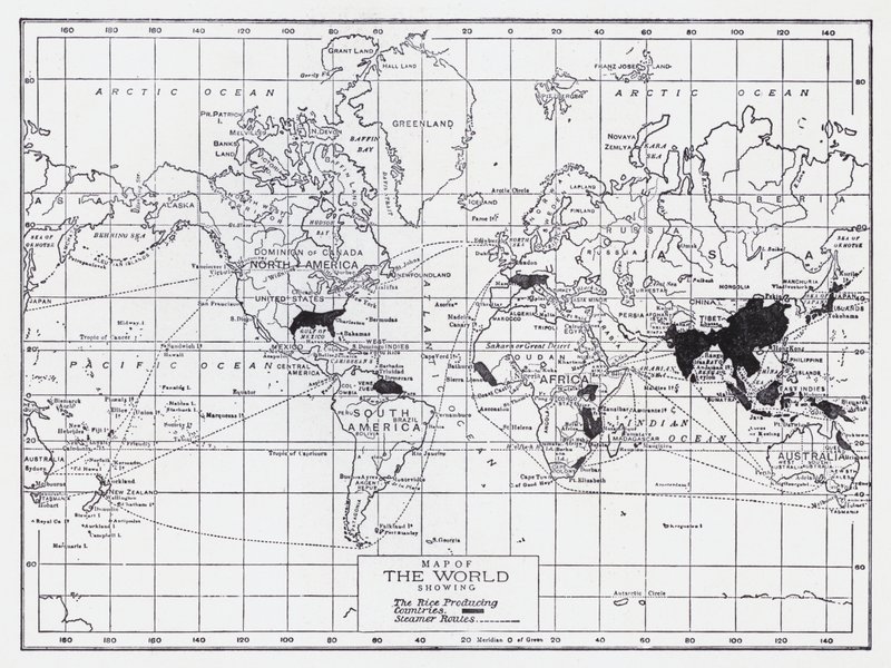 显示大米生产国的世界地图（平版） 作者 英语学校