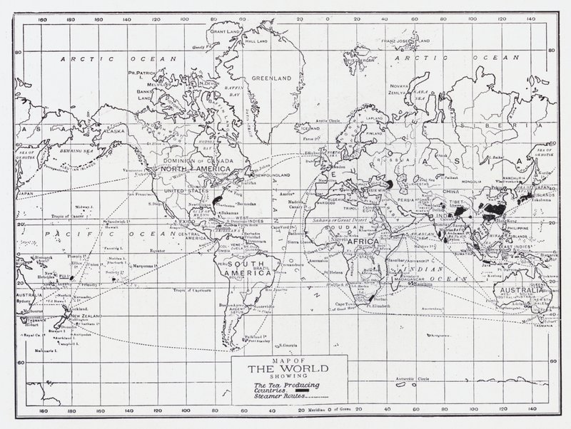 显示茶叶生产国的世界地图 作者 英语学校
