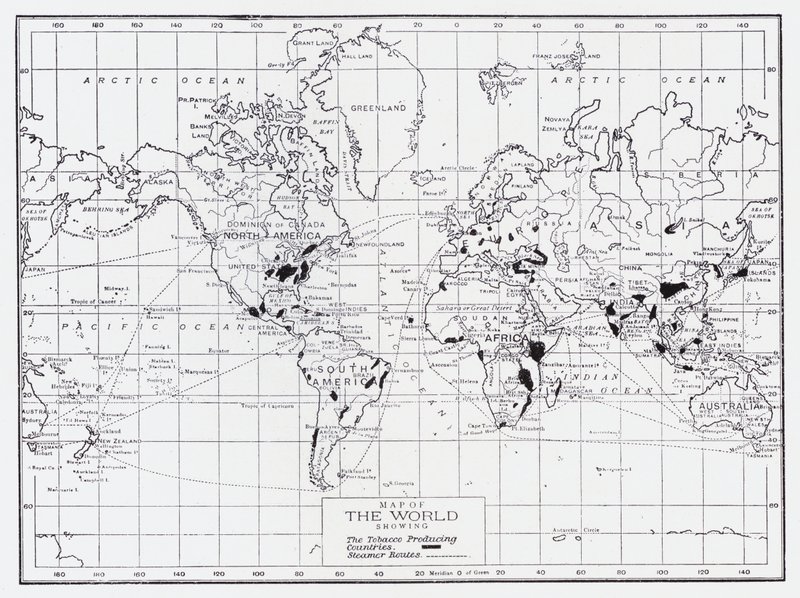 显示烟草生产国的世界地图 作者 英语学校
