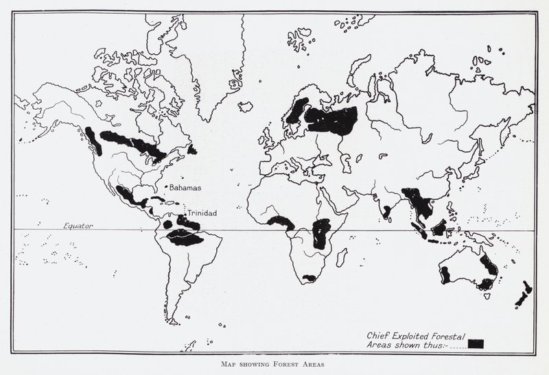 显示森林区域的地图（石印）。 作者 英语学校
