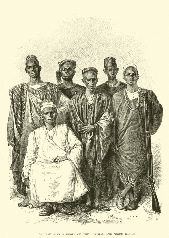 Mohammedan Negroes of the Senegal and Niger Basins (engraving) 作者 英语学校