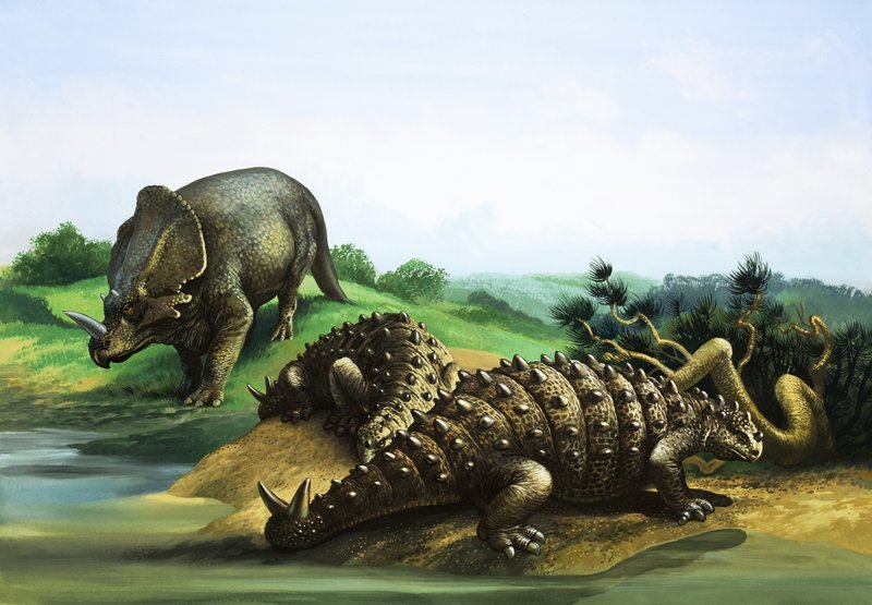 Monoclonius和Scolosaurus 作者 英语学校