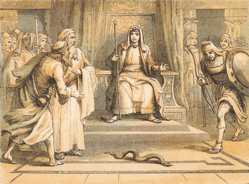 Moses and Aaron before Pharaoh (coloured engraving) 作者 英语学校