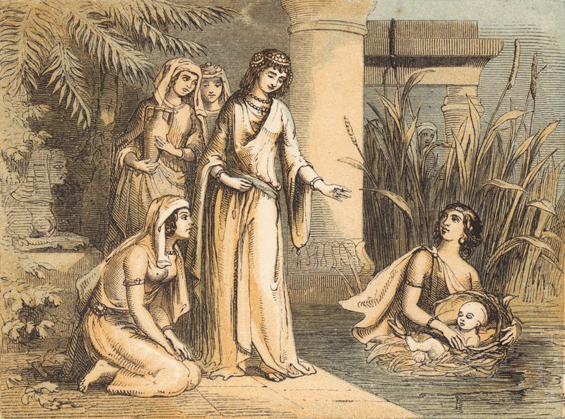 Moses in the Bulrushes (coloured engraving) 作者 英语学校