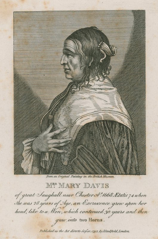 1668年，切斯特附近伟大的索格霍尔夫人玛丽戴维斯夫人 作者 英语学校