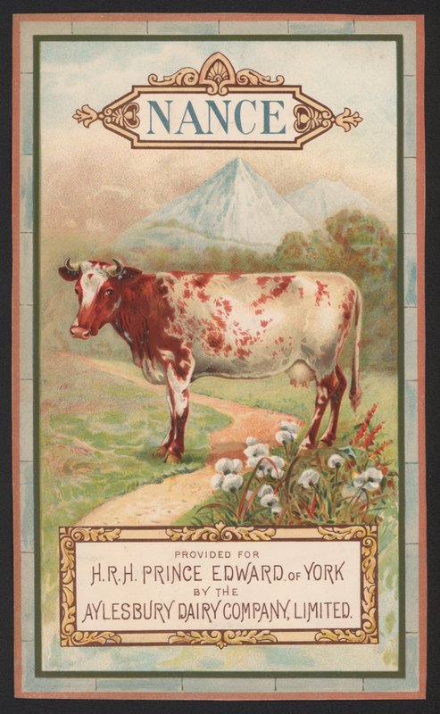 Nance，Aylesbury Dairy Company的广告 作者 英语学校