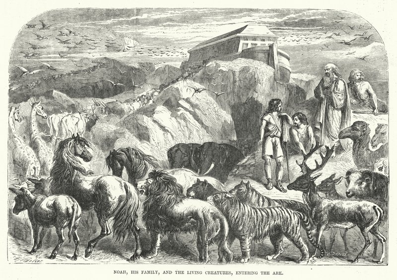 Noah, his Family, and the Living Creatures, entering the Ark (engraving) 作者 英语学校