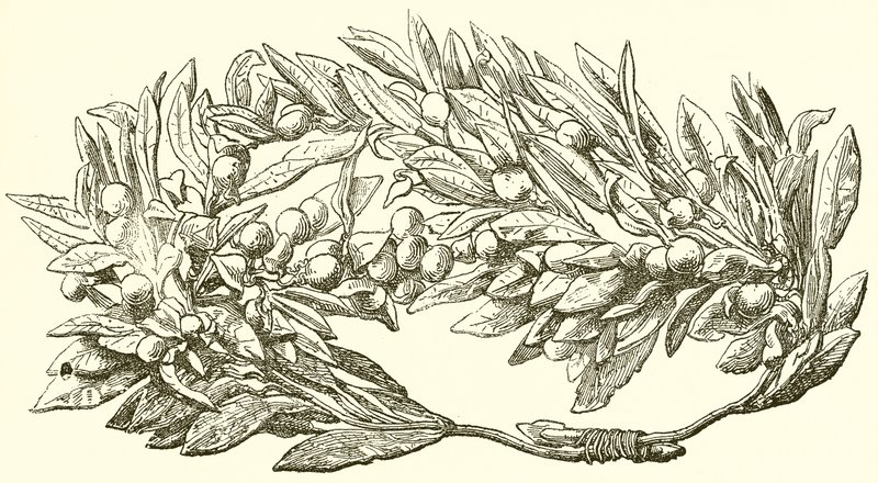 黄金橄榄花环 作者 英语学校