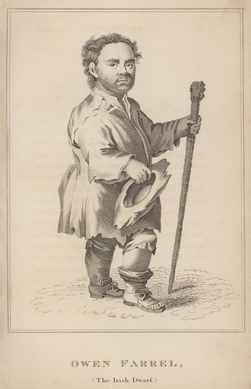 Owen Farrel，爱尔兰矮人 作者 英语学校