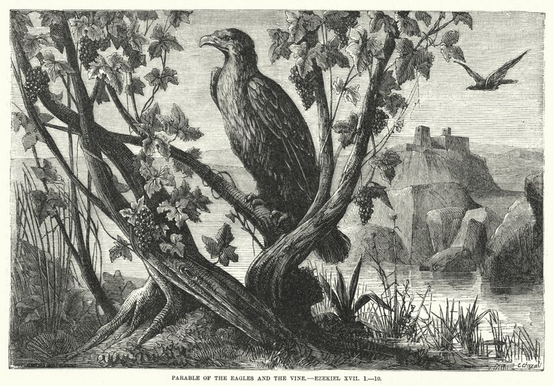 Parable of the Eagles and the Vine, Ezekiel XVII 作者 英语学校
