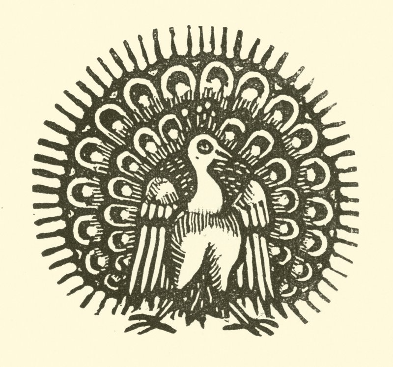 Peacock (woodcut) 作者 英语学校
