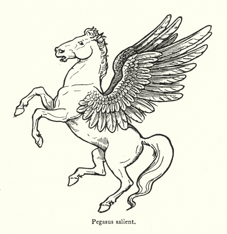 Pegasus salient (engraving) 作者 英语学校