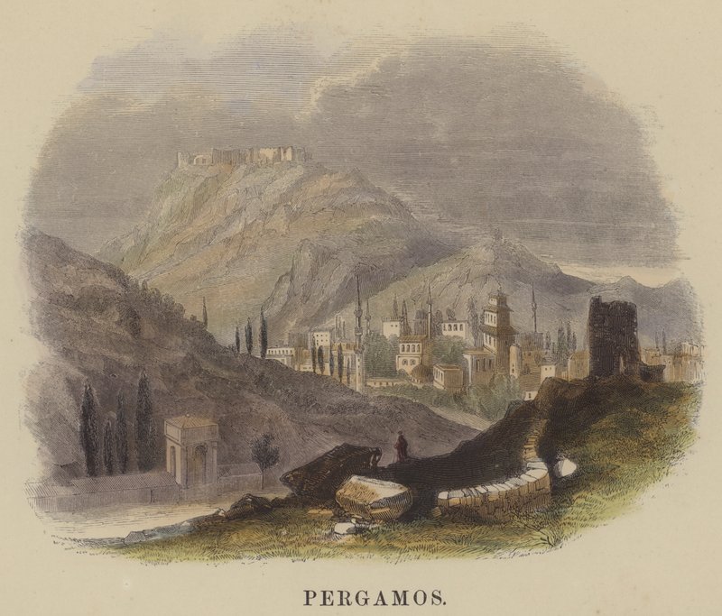 Pergamos（彩色雕刻） 作者 英语学校