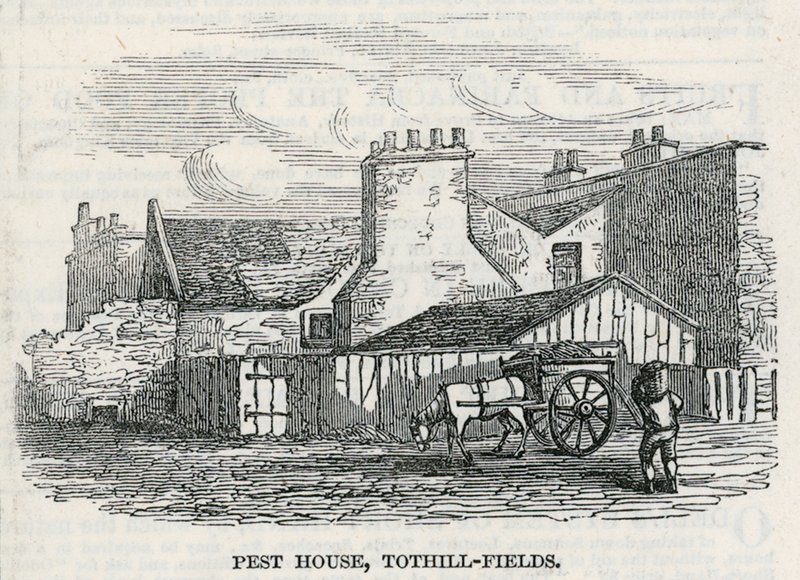 害虫之家，Tothill Fields 作者 英语学校