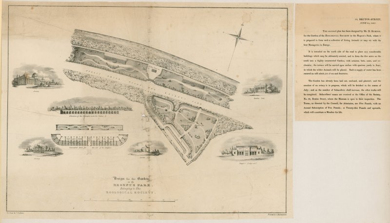 规划动物园，摄政公园，1827年 作者 英语学校
