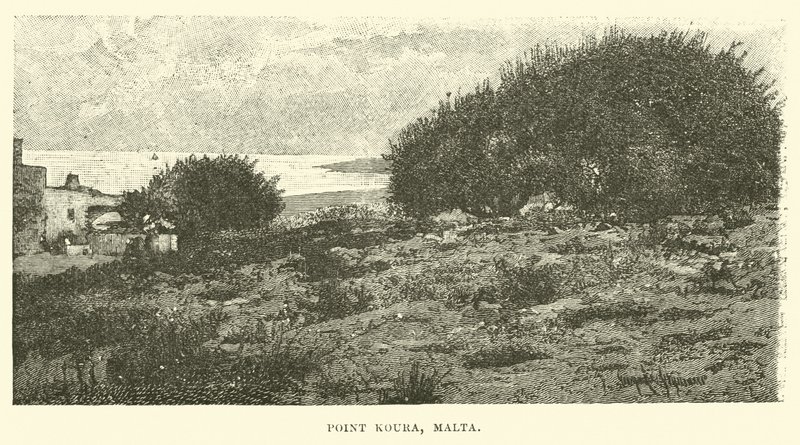 Point Koura，马耳他 作者 英语学校