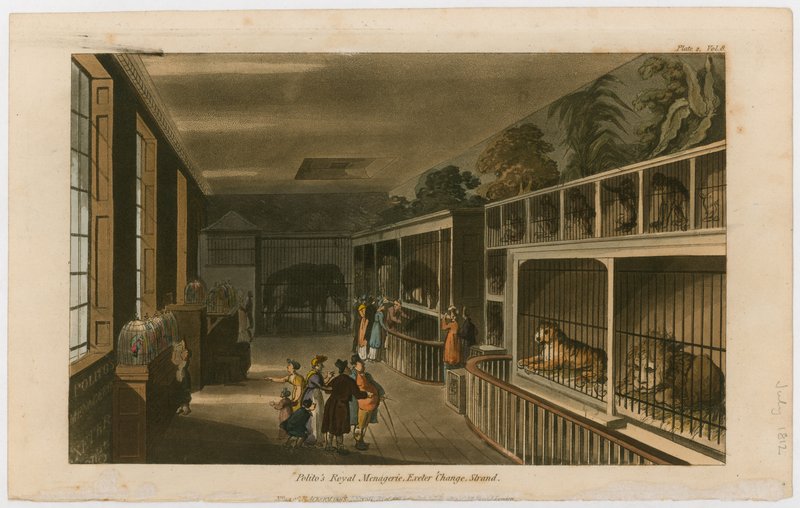 Politos Royal Menagerie，Exeter Change，Strand 作者 英语学校