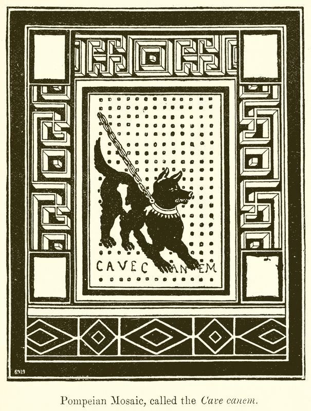 Pompeian Mosaic，被称为Cave Canem 作者 英语学校