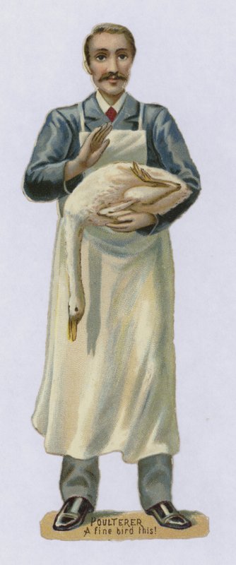 Poulterer，一只好鸟 作者 英语学校