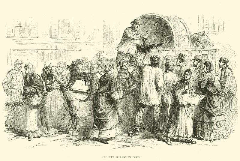 1870年10月在巴黎的家禽销售商 作者 英语学校