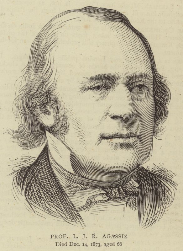 Professor L J R Agassiz (engraving) 作者 英语学校