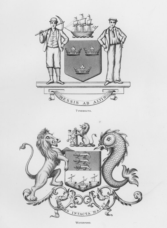 公共武器。泰内茅斯；沃特福德（雕刻）。 作者 英语学校