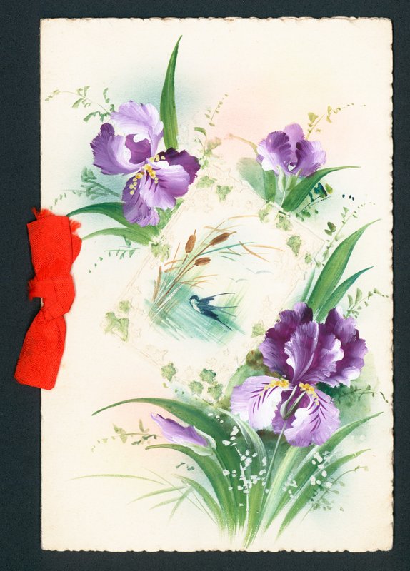 紫色鸢尾花，卡片 作者 英语学校