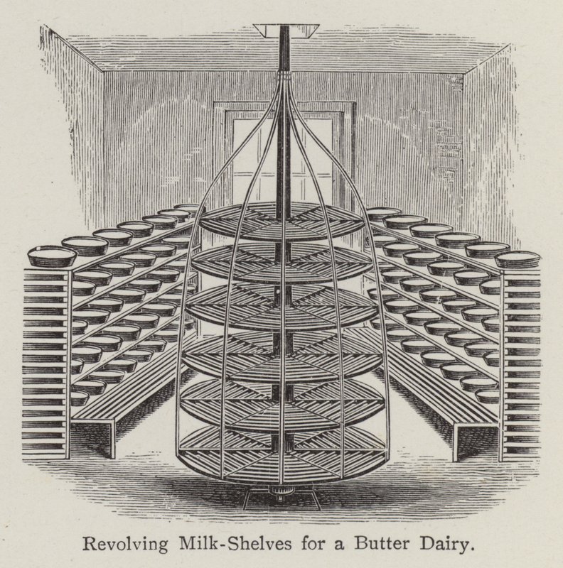 用于黄油乳制品的旋转牛奶架（石版画） 作者 英语学校
