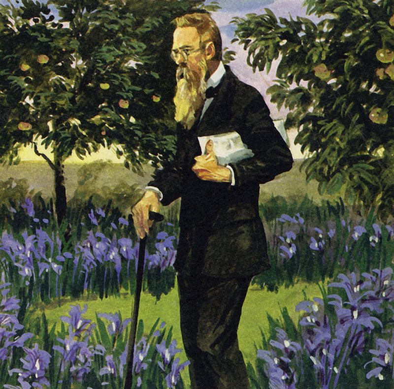 Rimsky-Korsakov心脏病发作，但恢复到足以走进他的花园 作者 英语学校