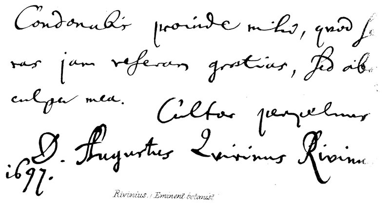 Rivinius，（杰出的植物学家） 作者 英语学校