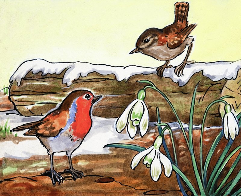 Robin Redbreast和Jenny Wren 作者 英语学校