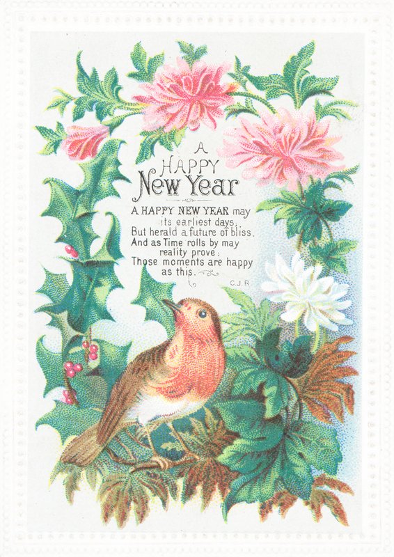 罗宾和鲜花，新年卡 作者 英语学校