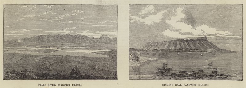 三明治群岛（雕刻） 作者 英语学校