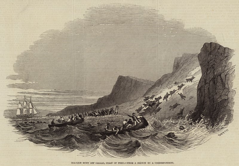 Sea-Lion hunt off Callao, Coast of Peru (engraving) 作者 英语学校