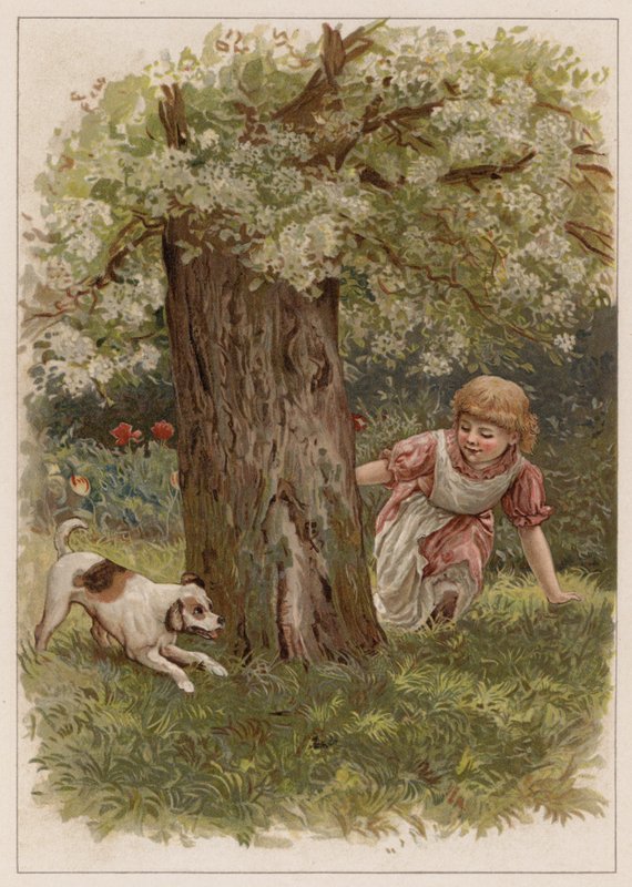 Shappy (chromolitho) 作者 英语学校