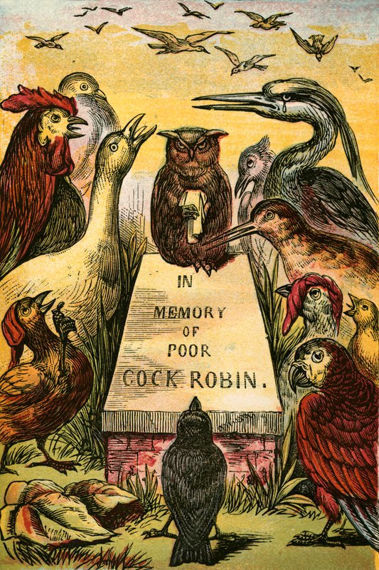 为可怜的Cock Robin叹气和抽泣 作者 英语学校