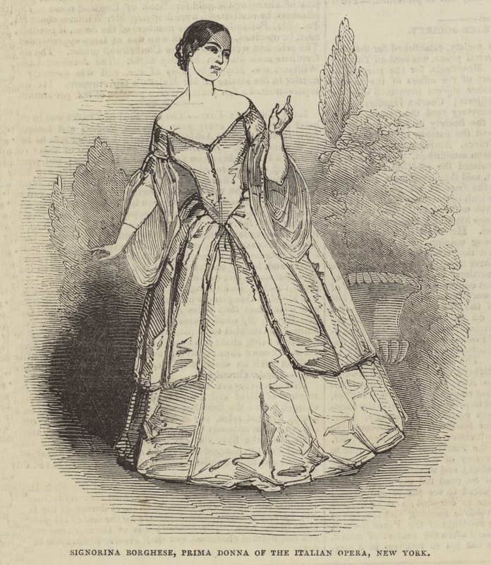 Signorina Borghese，纽约意大利歌剧院的第一位女士 作者 英语学校