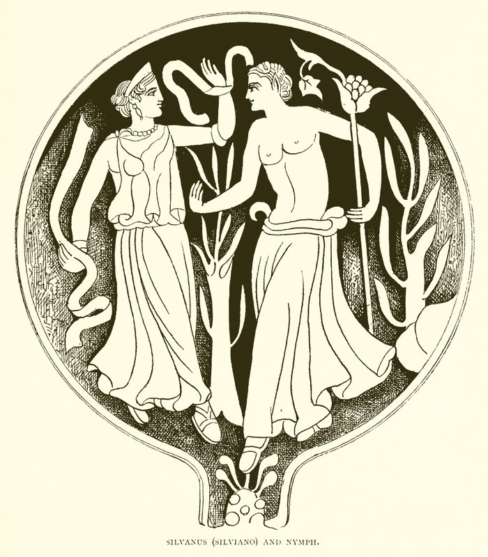 Silvanus（Silviano）和若虫 作者 英语学校
