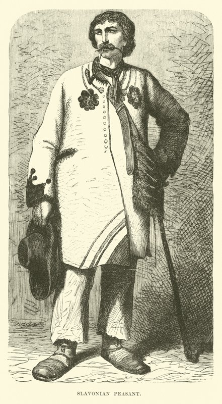 Slavonian peasant (engraving) 作者 英语学校