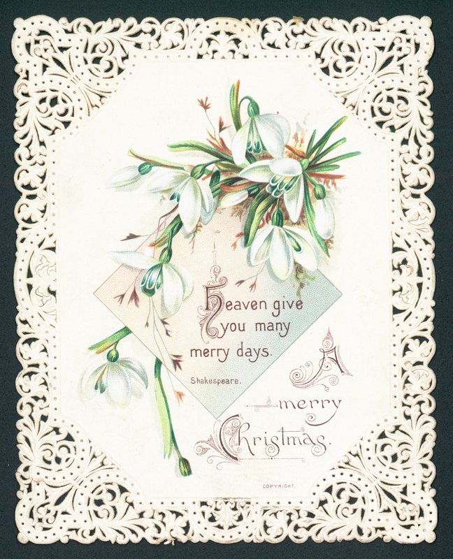 Snowdrops，圣诞卡片 作者 英语学校
