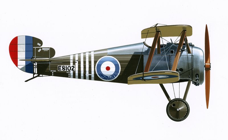 Sopwith 7F.1 Snipe 作者 英语学校