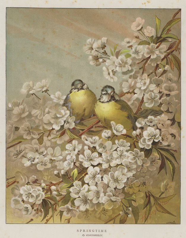 春意盎然 (chromolitho) 作者 英语学校