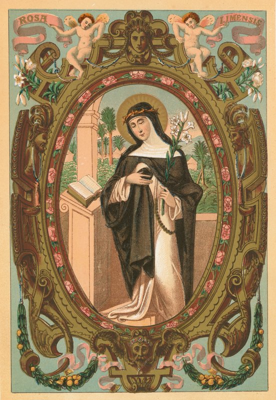 St Rosa Limensis 作者 英语学校