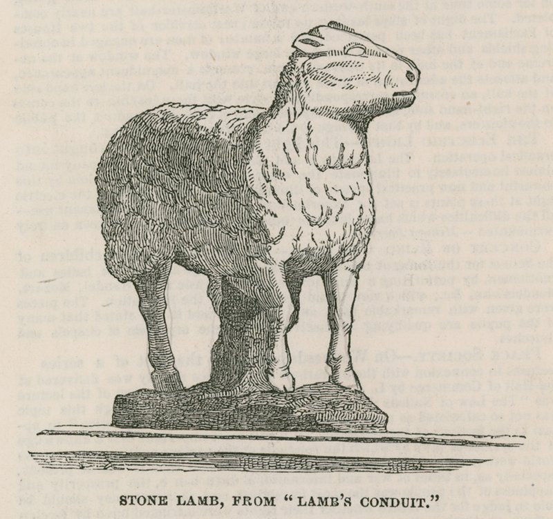 来自Lambs Conduit的石羊 作者 英语学校