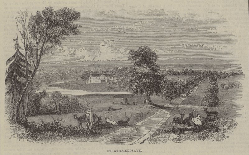 Strathfieldsaye 作者 英语学校