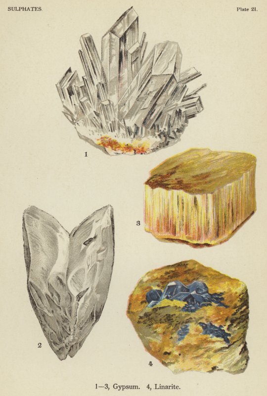 硫酸盐、石膏、亚麻石（彩色石版画） 作者 英语学校