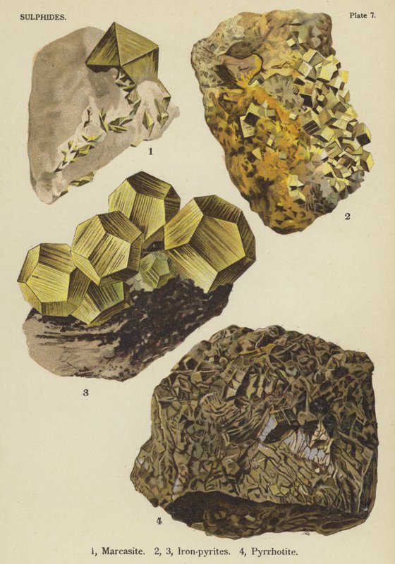 硫化物、黑云母、铁黄铁矿、黄铁矿（彩色石版画） 作者 英语学校